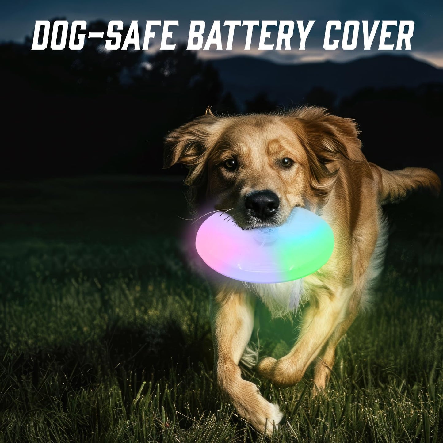 Lite N Bite LED Flying Disc - Light Up Dog Disk with Multi-Color LED, Batteries Included
