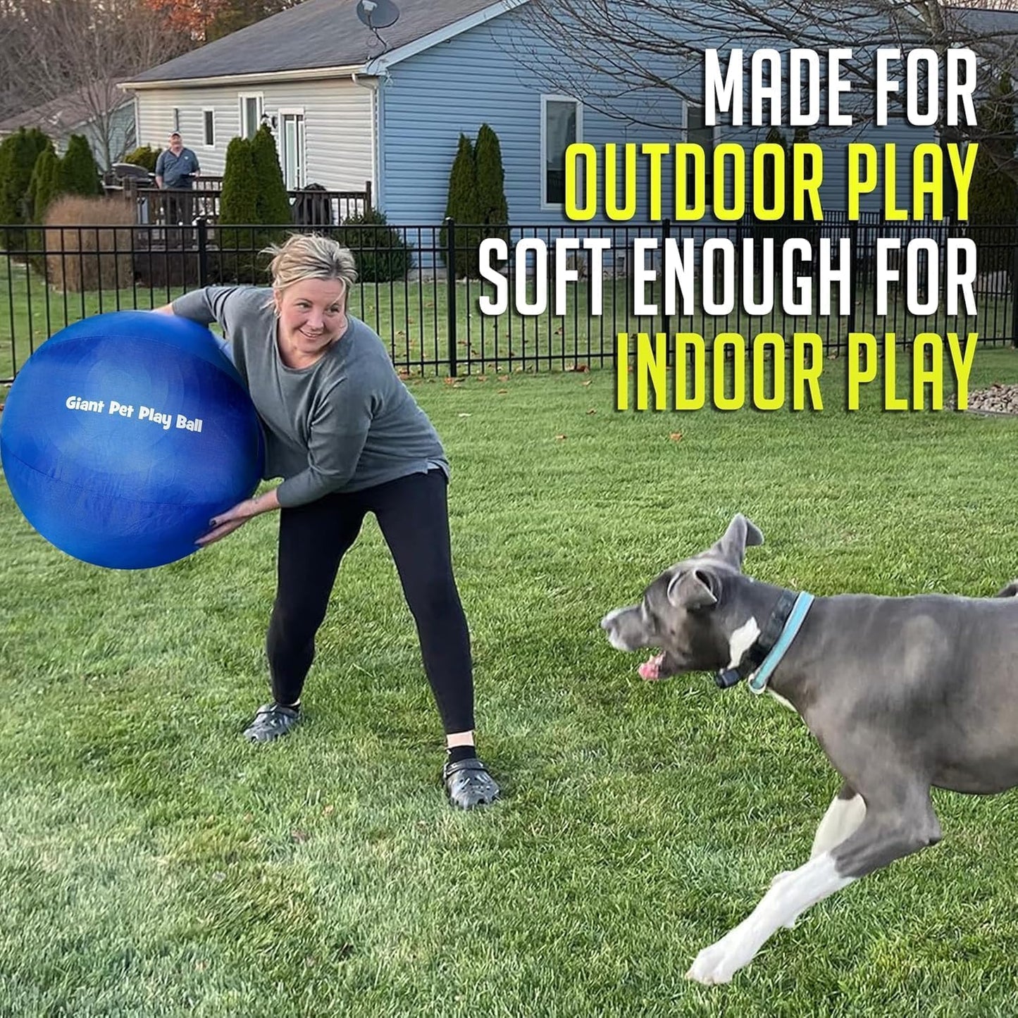 Giant Pet Play Ball