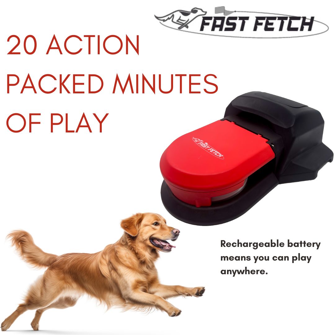 Fast Fetch - Remote Control Dog Lure Course