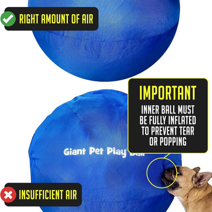 Giant Pet Play Ball