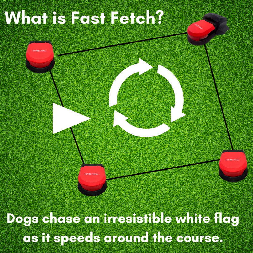Fast Fetch Dog Lure Course - Rechargeable - Includes Battery, Remote ...