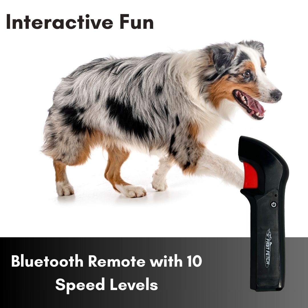 Fast Fetch Dog Lure Course - Rechargeable - Includes Battery, Remote ...