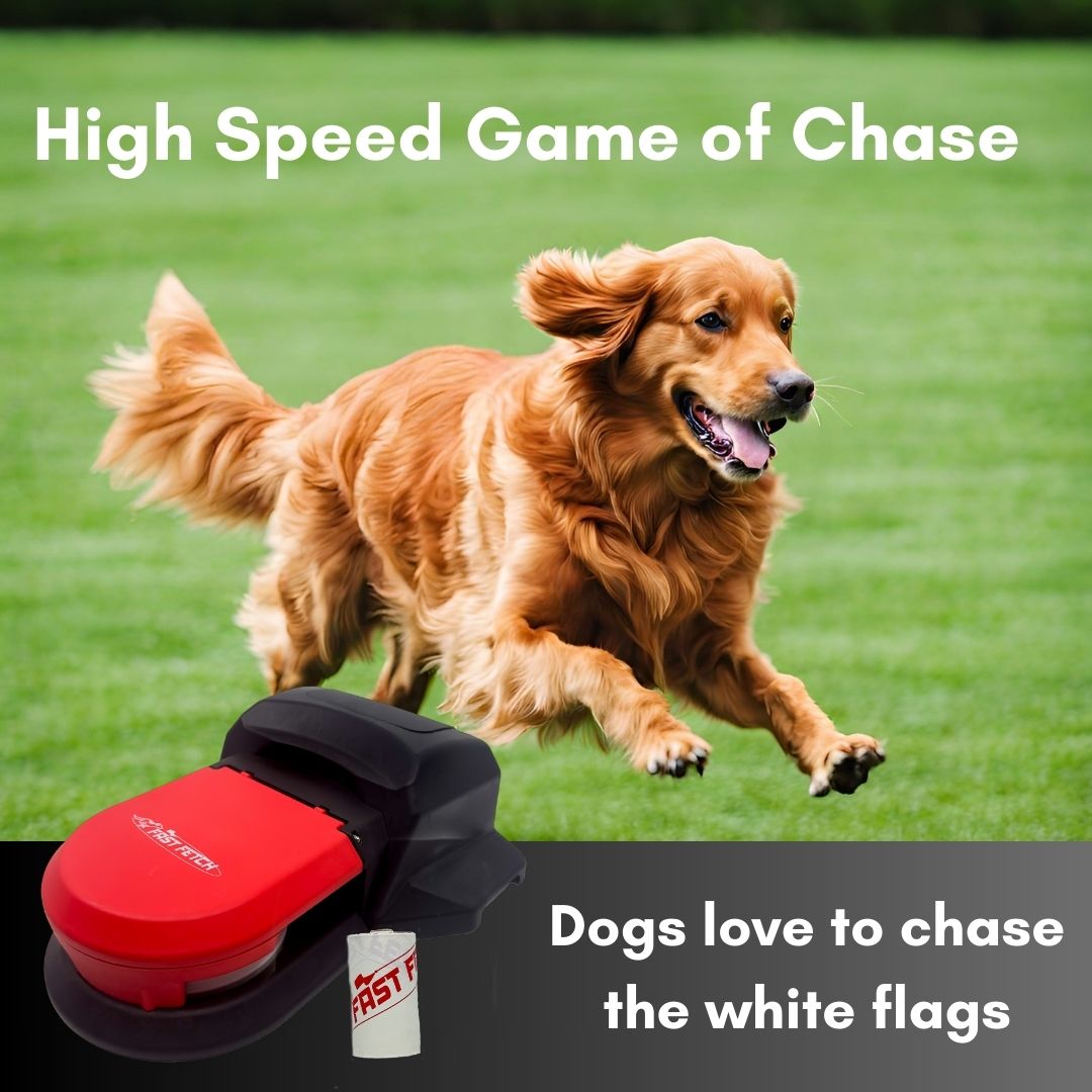 Fast Fetch Dog Lure Course - Rechargeable - Includes Battery, Remote ...