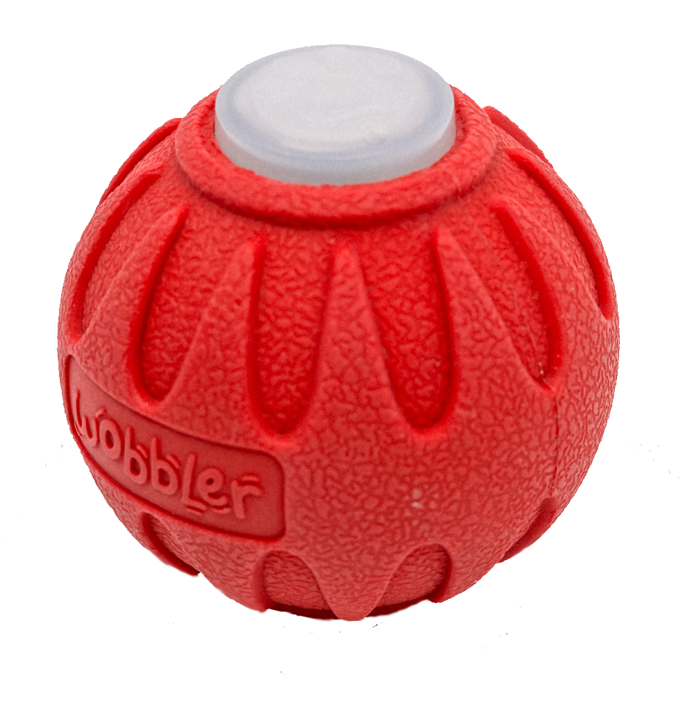 Wobbler Interactive Dog Toy