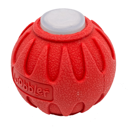 Wobbler Interactive Dog Toy