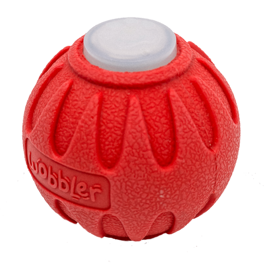 Wobbler Interactive Dog Toy