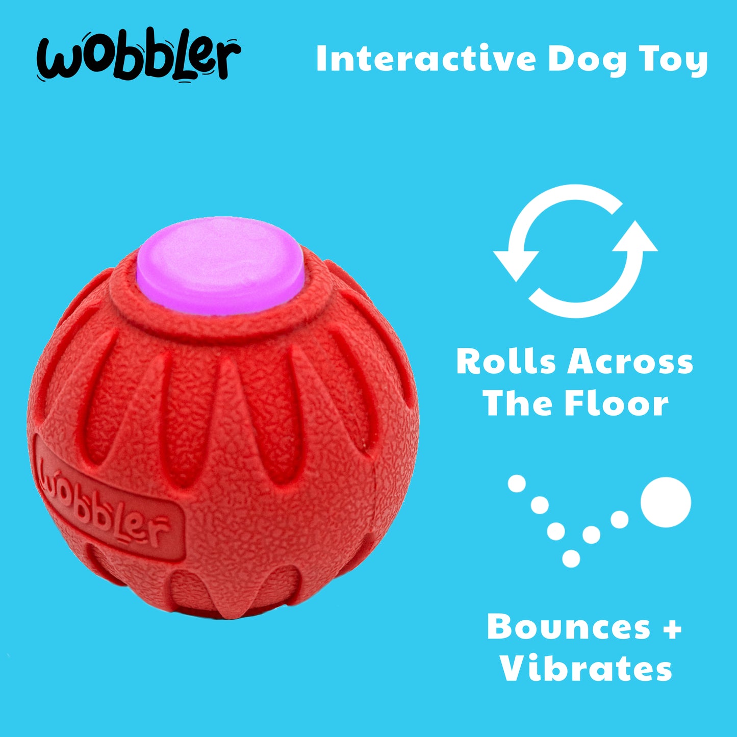 Wobbler Interactive Dog Toy