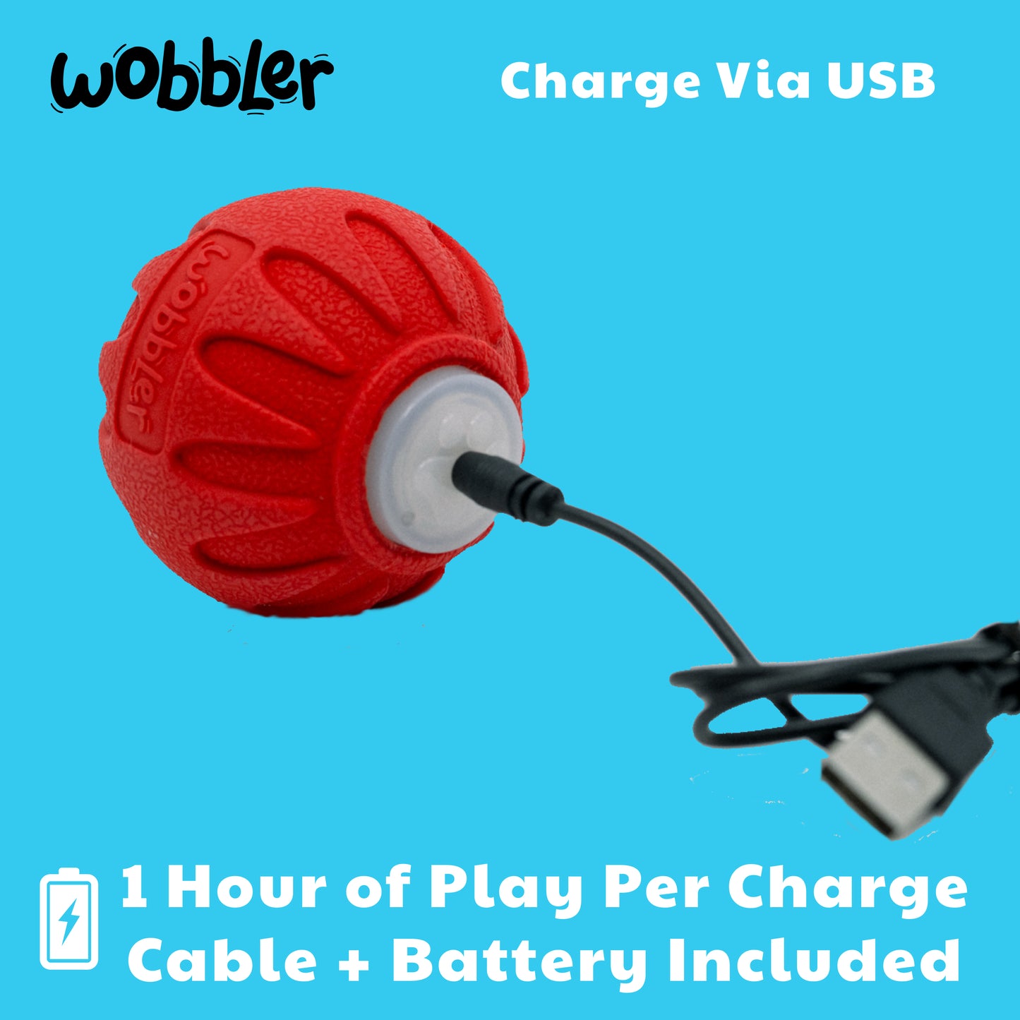 Wobbler Interactive Dog Toy