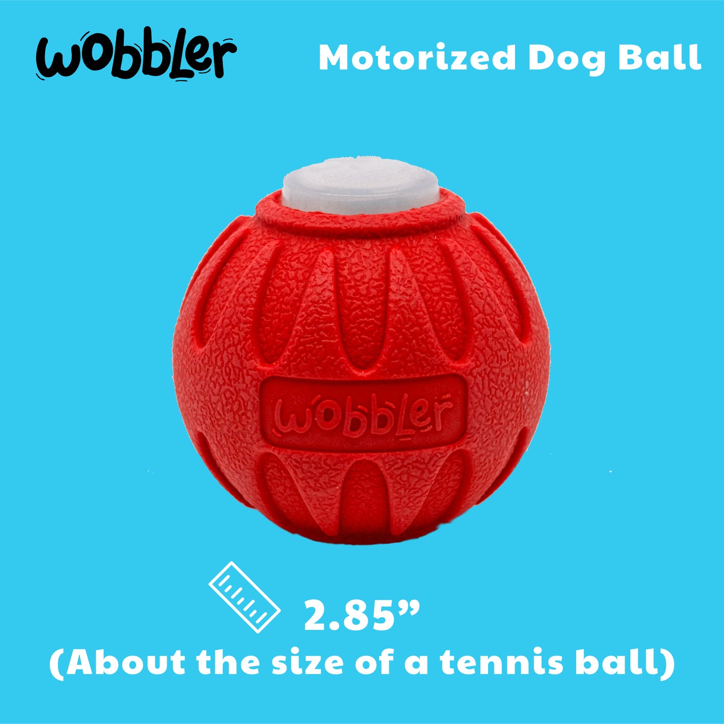 Wobbler Interactive Dog Toy