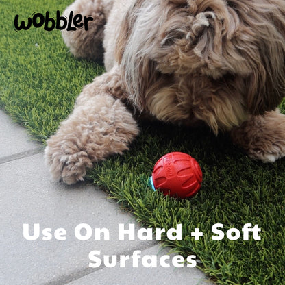 Wobbler Interactive Dog Toy